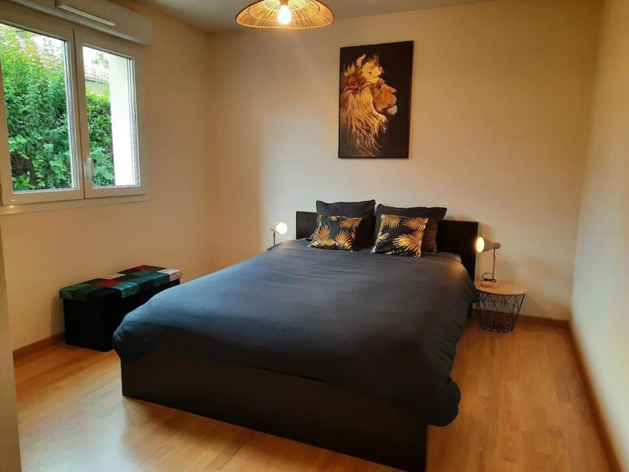 Le Reposant Appartement Thonon-les-Bains Buitenkant foto